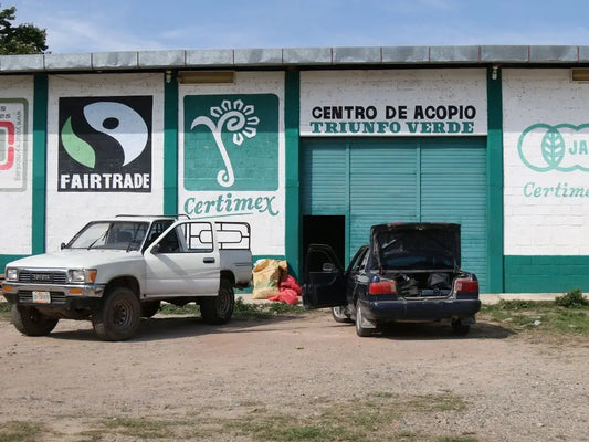 Quest for the perfect coffee - Mexico El Triunfo - Tico Coffee Roasters