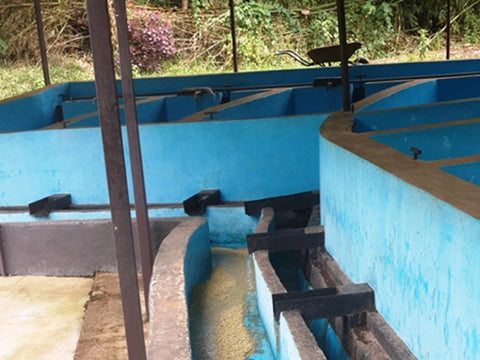 Wet Mill at the Abateraninkunga Cooperative