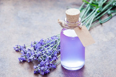 Homemade Lavender Syrup