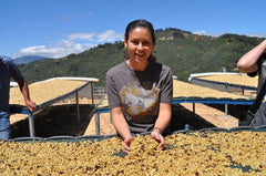 Celebrating Women Coffee Roasters