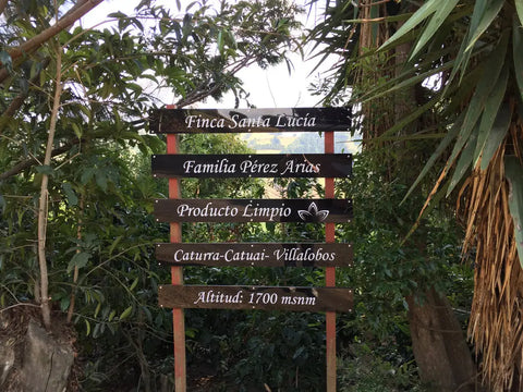 Organic Coffee Growing Practices at Finca Santa Lucia