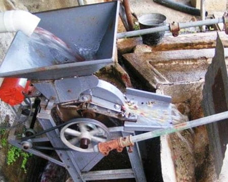 Coffee Processing at Finca La Cabaña